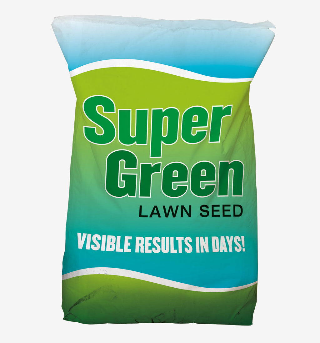 SuperGreen Lawn Seed 500g – Fast Growing Grass Seed for Lawns